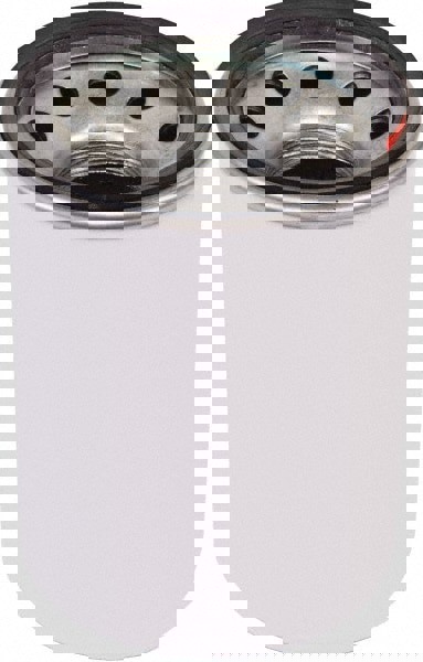 1 Inlet Size, 20 GPM, Pump Filter